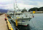 Effect_20200401_175951~2.jpg